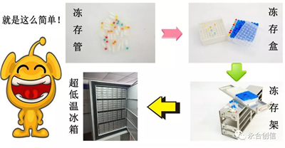 樣本凍存解決方案之凍存架、凍存盒、凍存管