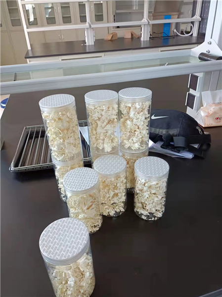 如何使用能延長(zhǎng)凍干機(jī)的使用壽命？
