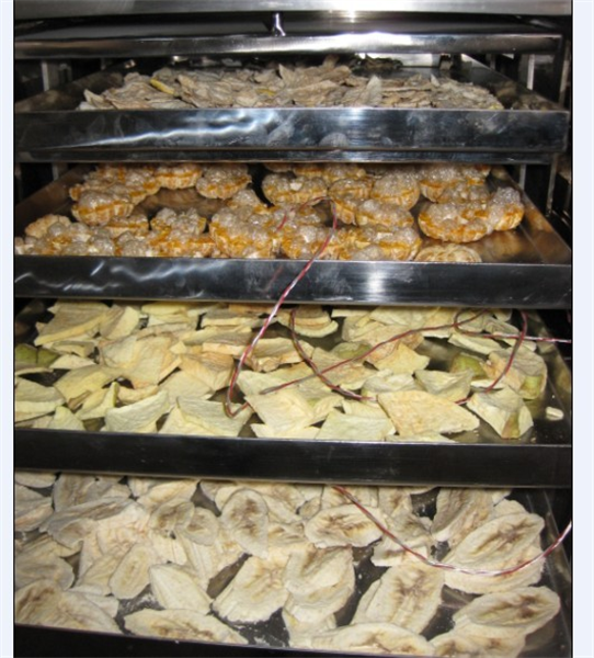 冷凍干燥機(jī)在食品凍干加工中需要注意哪些細(xì)節(jié)？